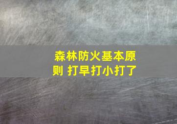 森林防火基本原则 打早打小打了